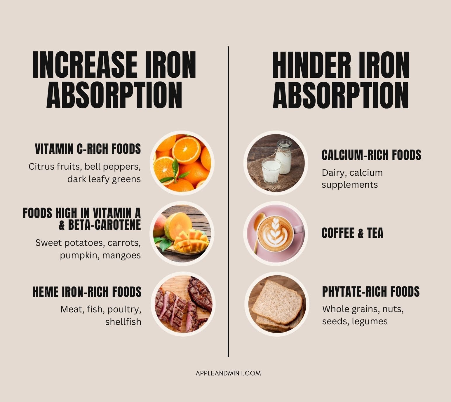 foods with high iron for pregnancy